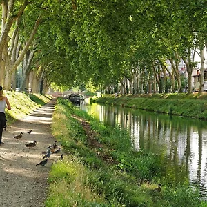 https://bright-and-comfortable-flat-in-the-center.midi-pyreneeshotels.com